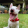 DaveNg's picture